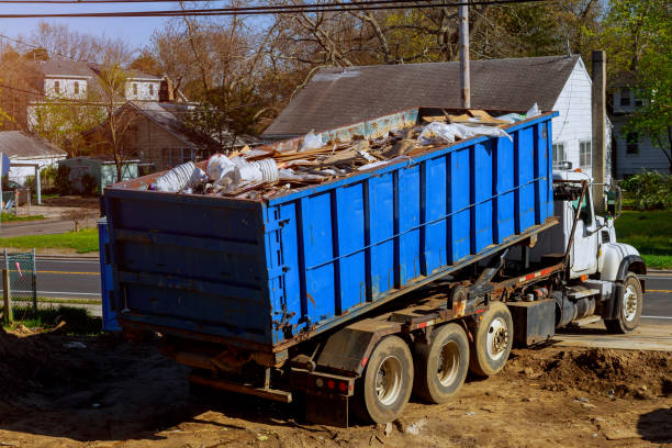 Best Yard Cleanup Services  in Pineland, TX
